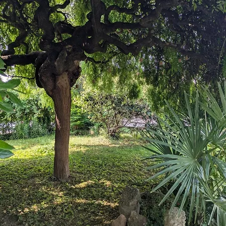 Casa La Contessa Nyaraló